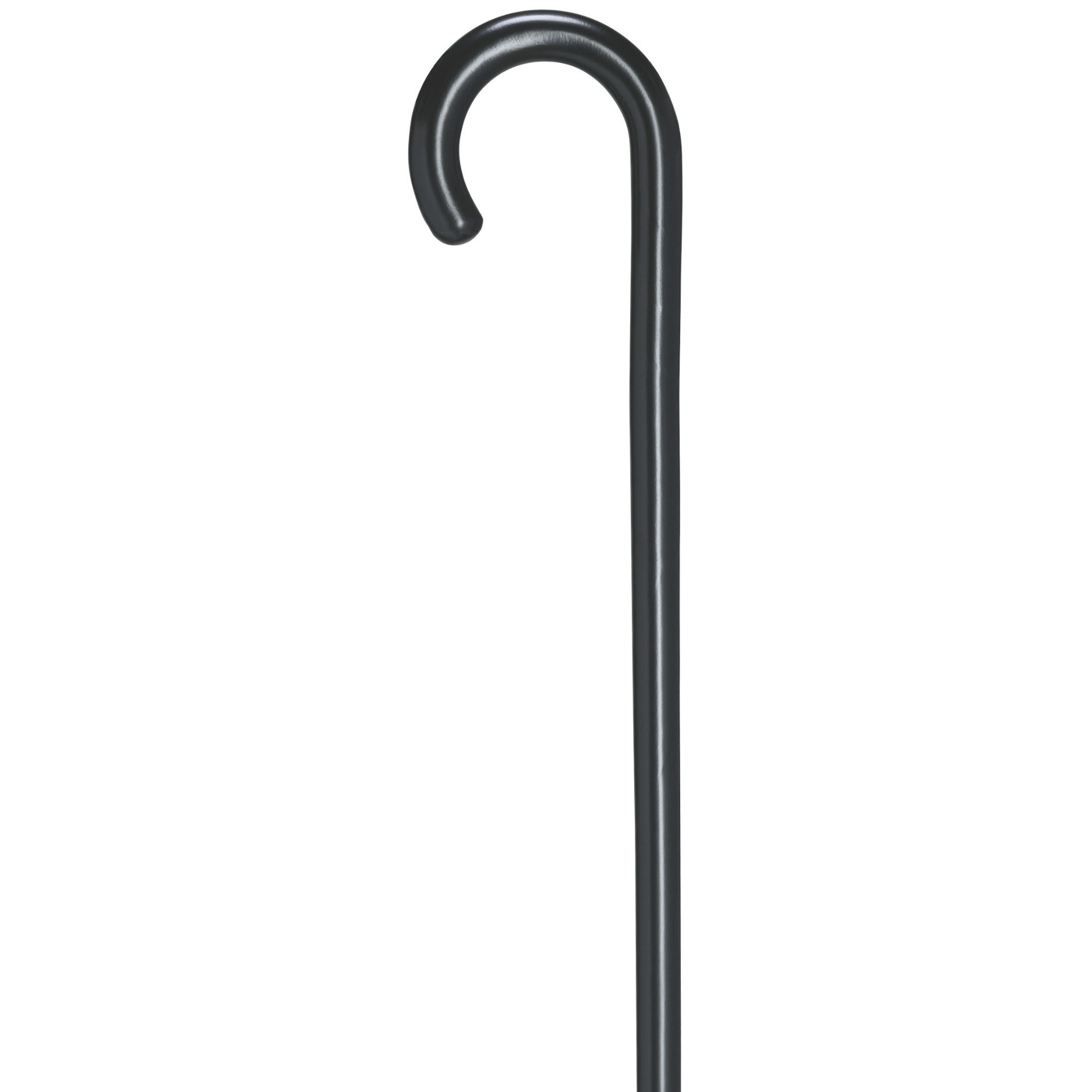 Crook Cane Fashion Color - Black