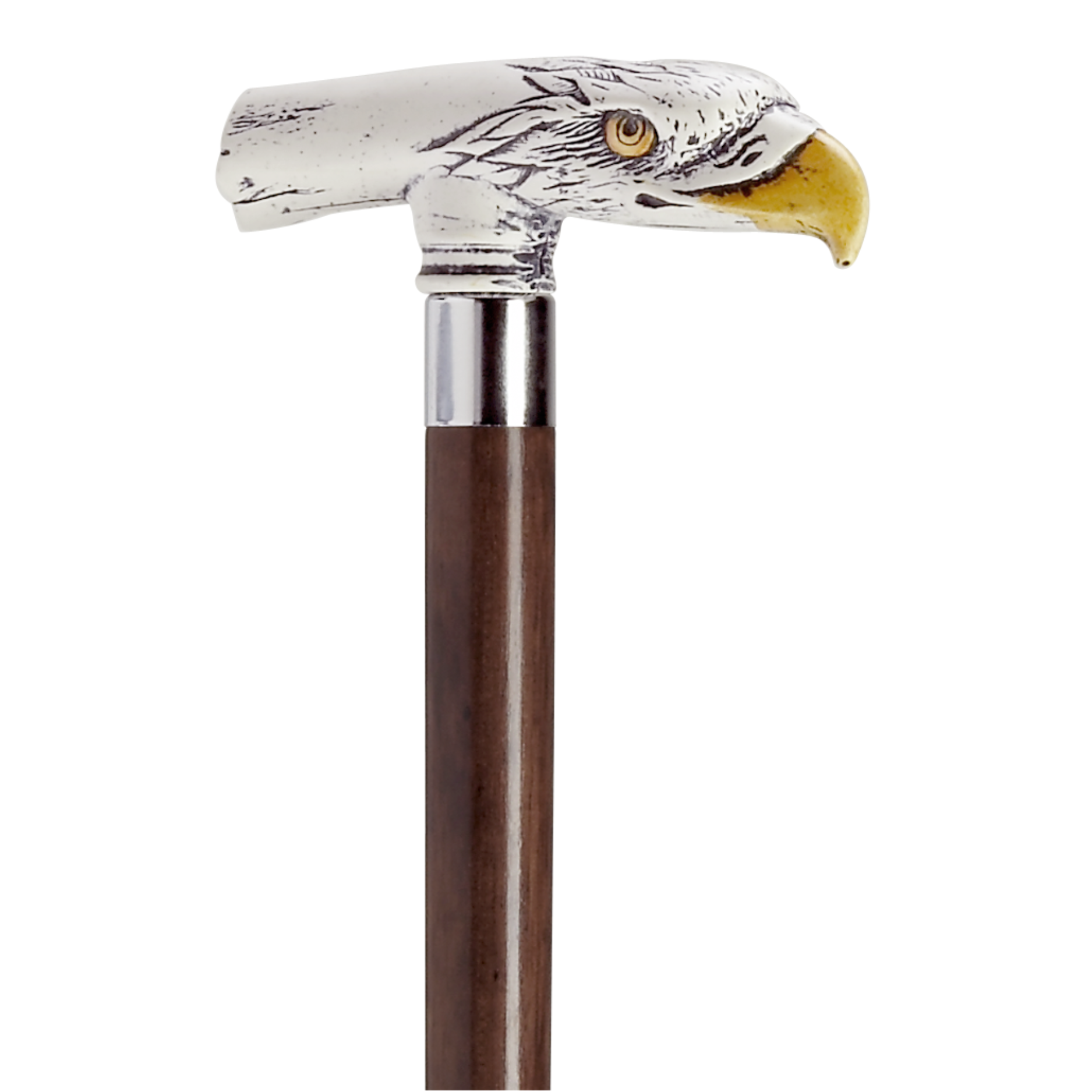 Scrimshaw Eagle Walking Cane-Two Colors Available