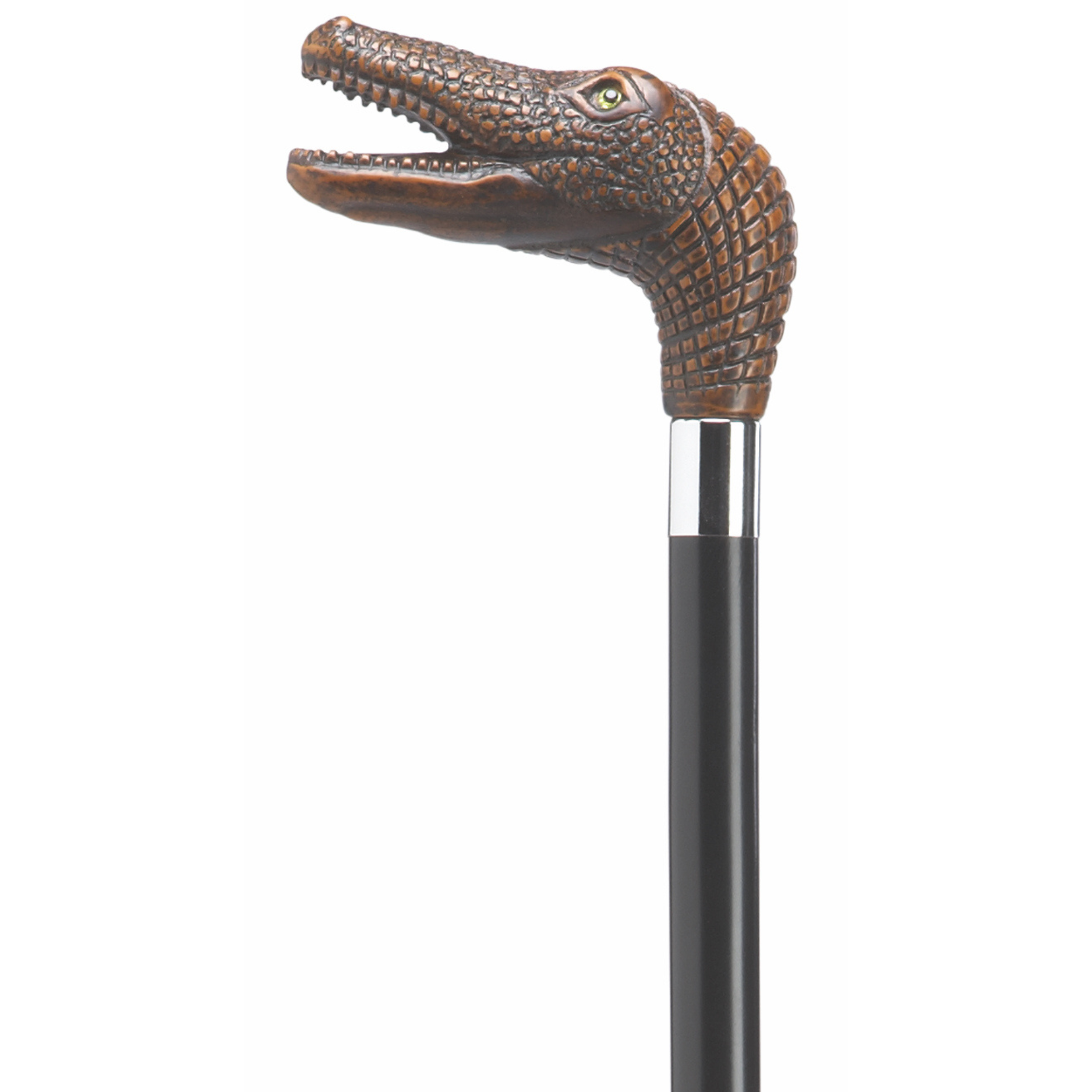 Alligator