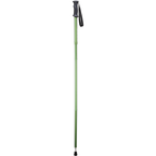 Backcountry Hiker -- Green