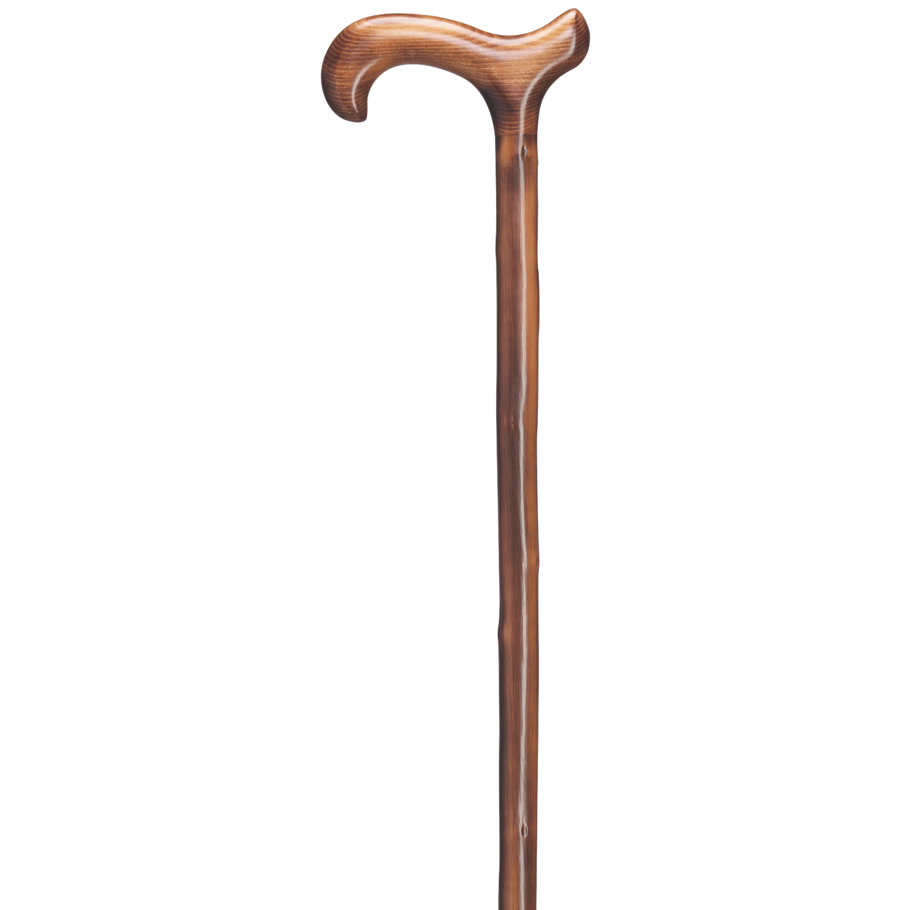 Derby Chestnut Walking Cane - Harvy Canes