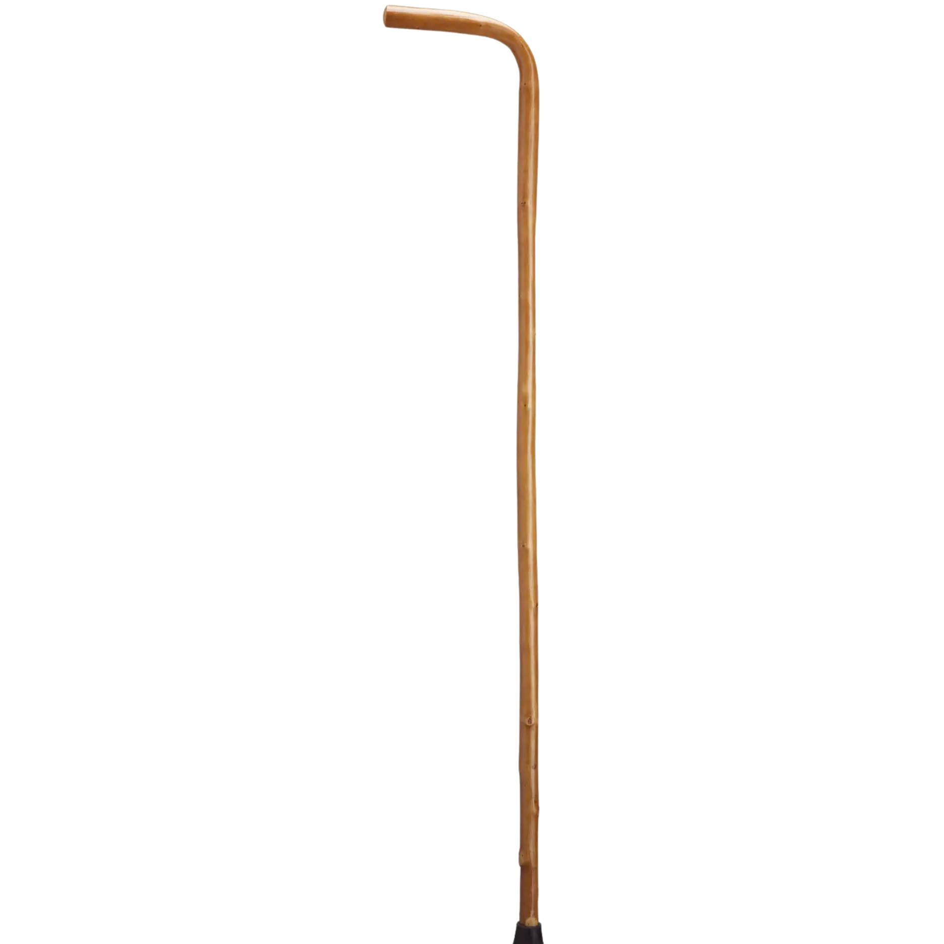 Chestnut Opera Cane- Large