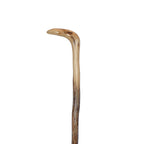 Wild Wood Root Cane