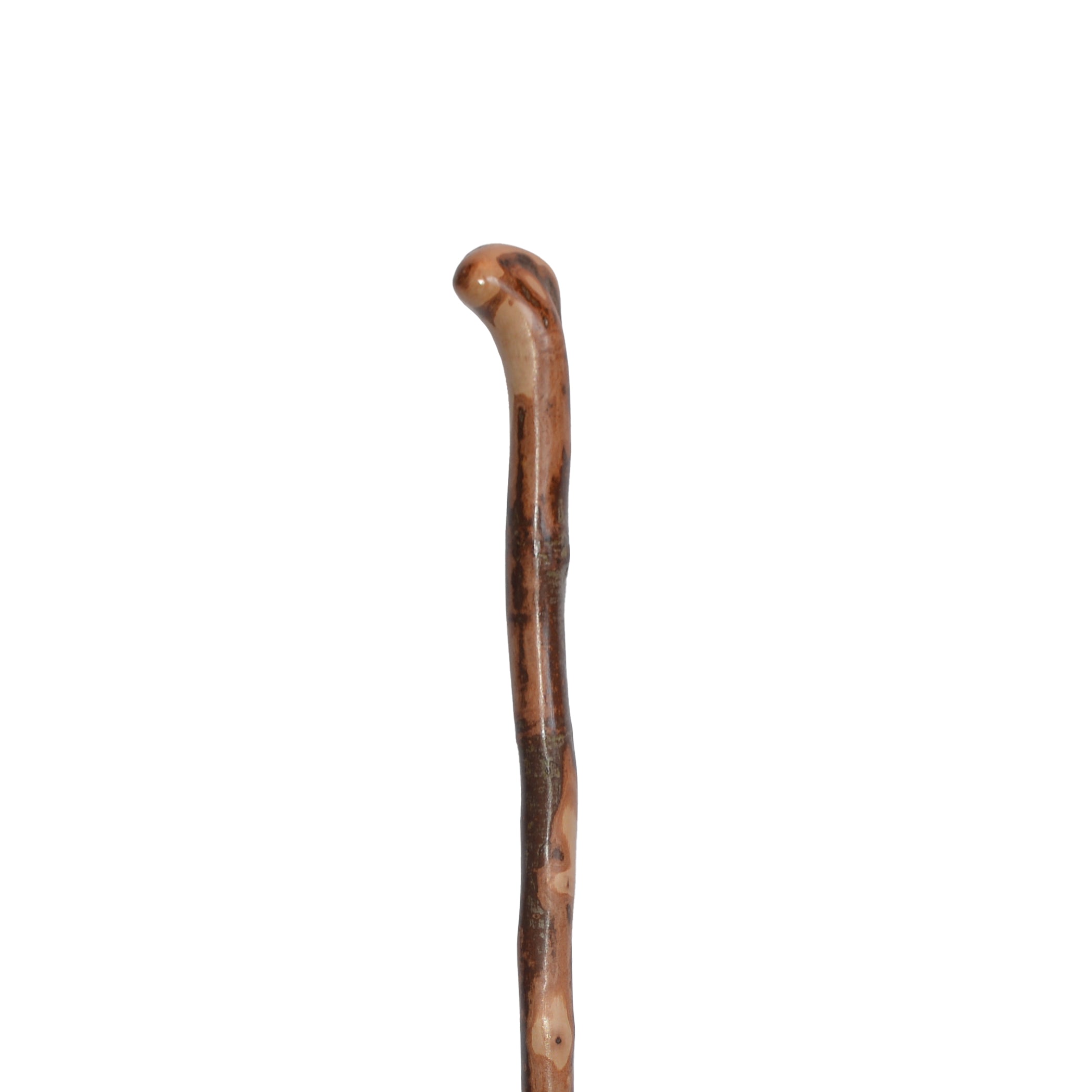 Wild Wood Root Knob Cane