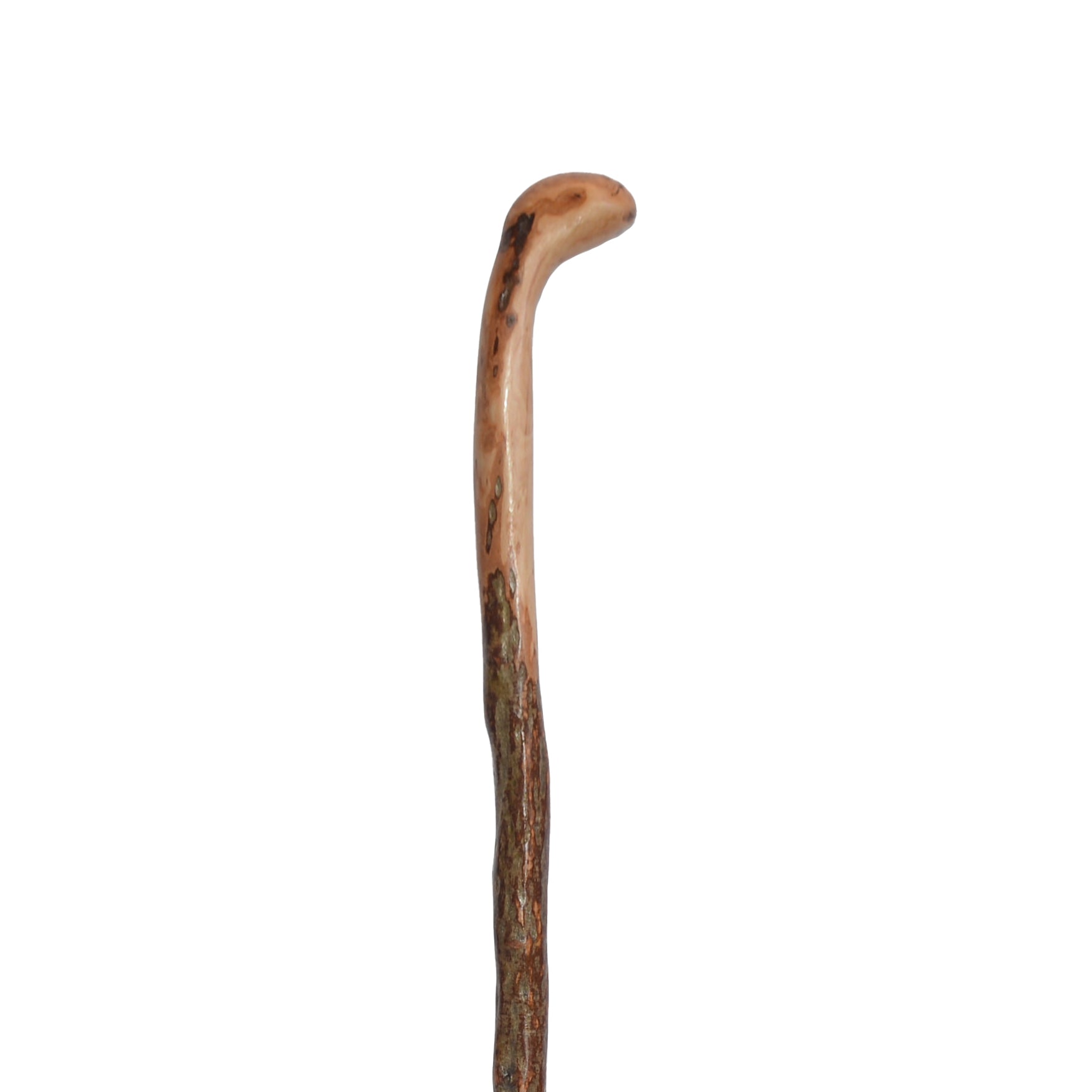 Wild Wood Root Knob Cane