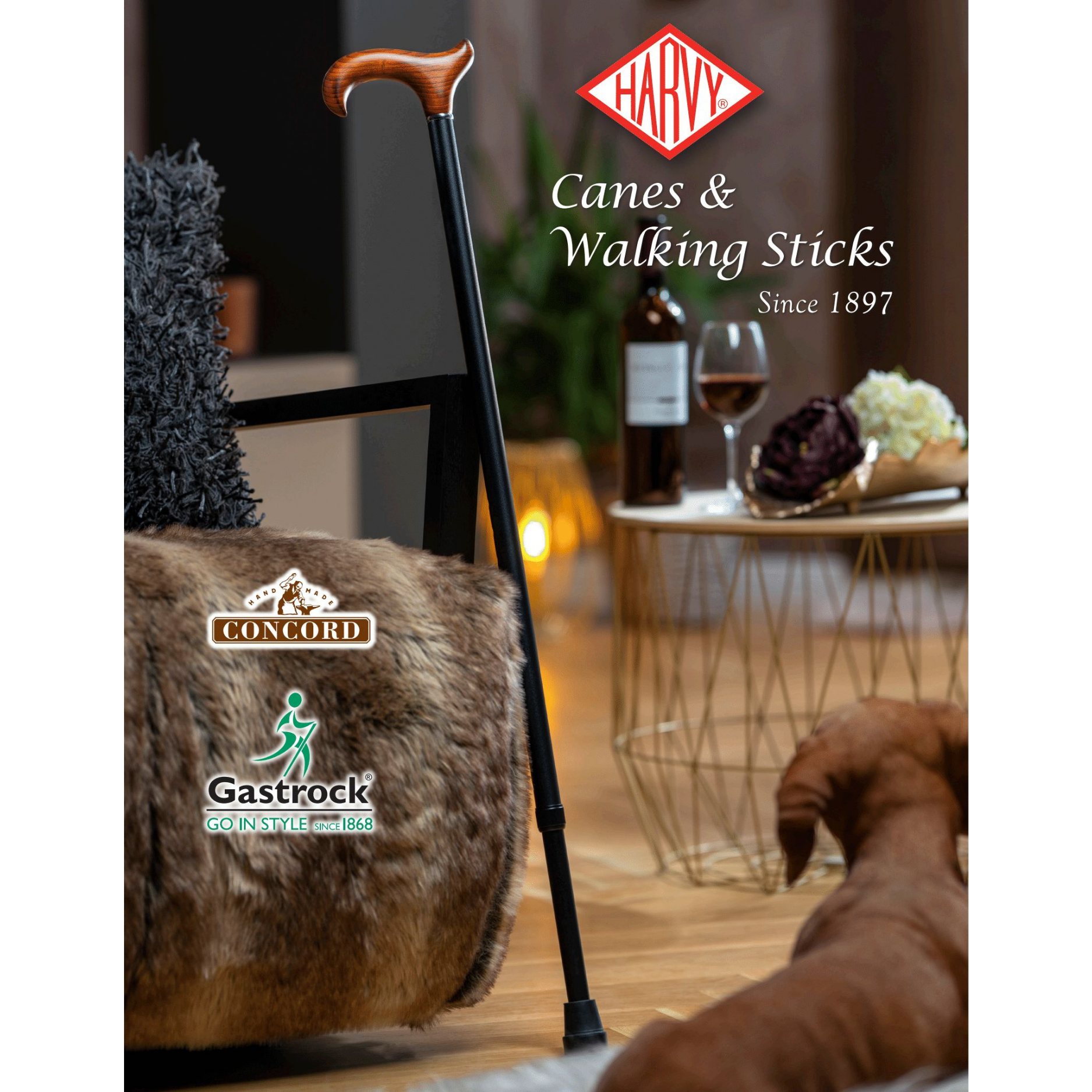 Harvy Digital Catalog
